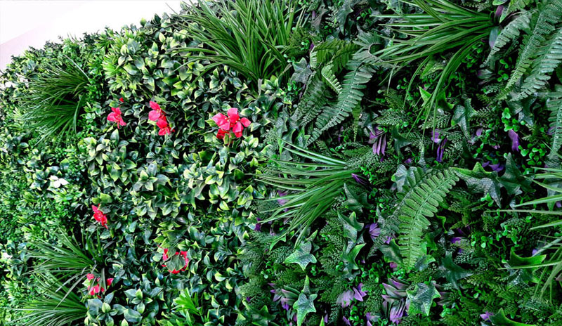 murs végétaux jungle