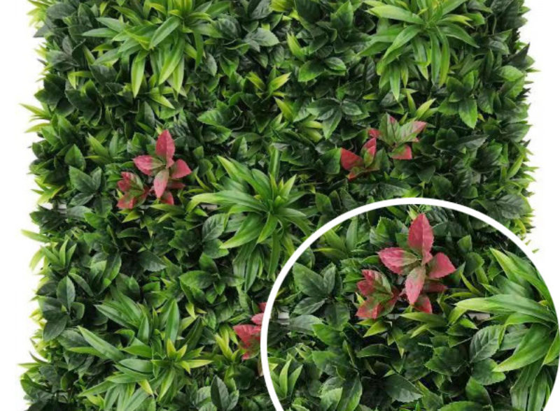 mur-vegetal-artificiel-equateur-france-green