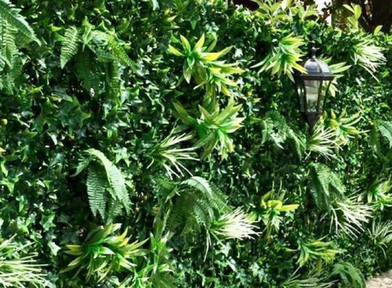 mur végétal au feuillage artificiel Exotic France Green